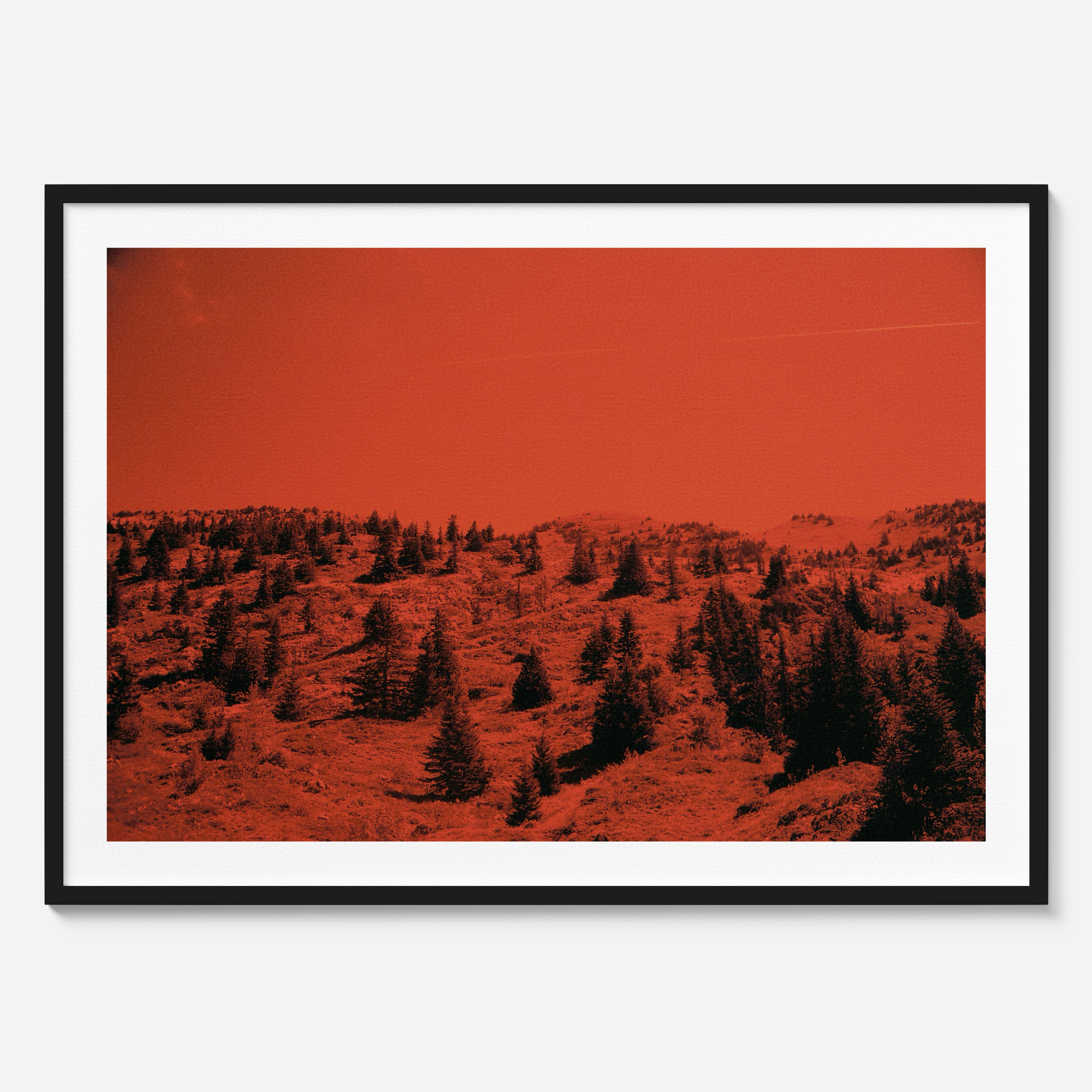 Remember You Are Blinded