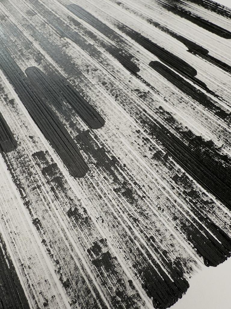 Brush Plot #003, detail 3