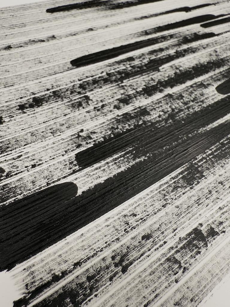 Brush Plot #003, detail 4