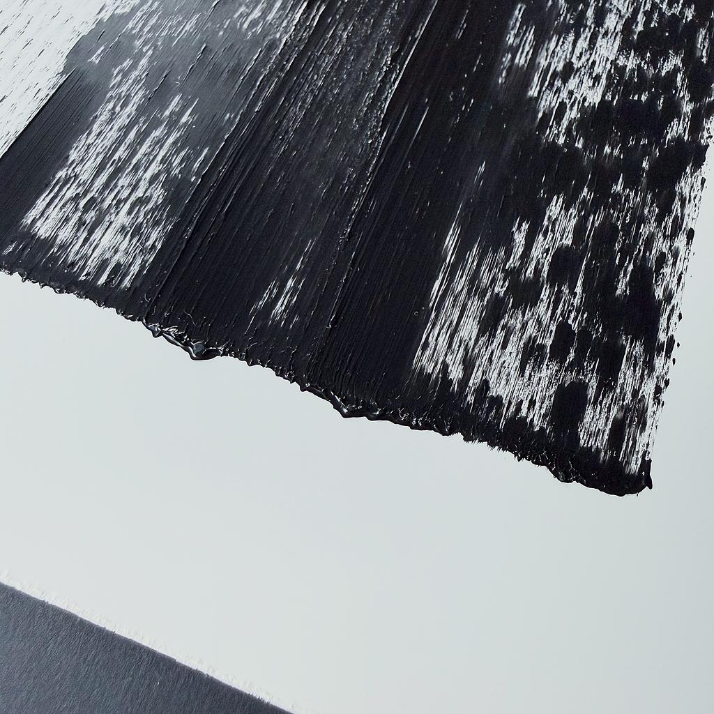 Brush Plot #007, detail 5