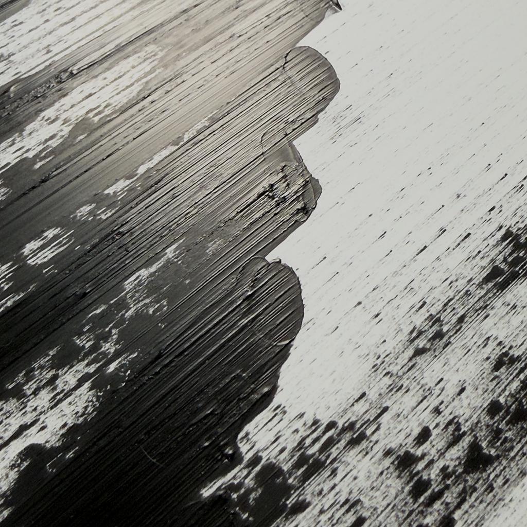 Brush Plot #008, detail 4