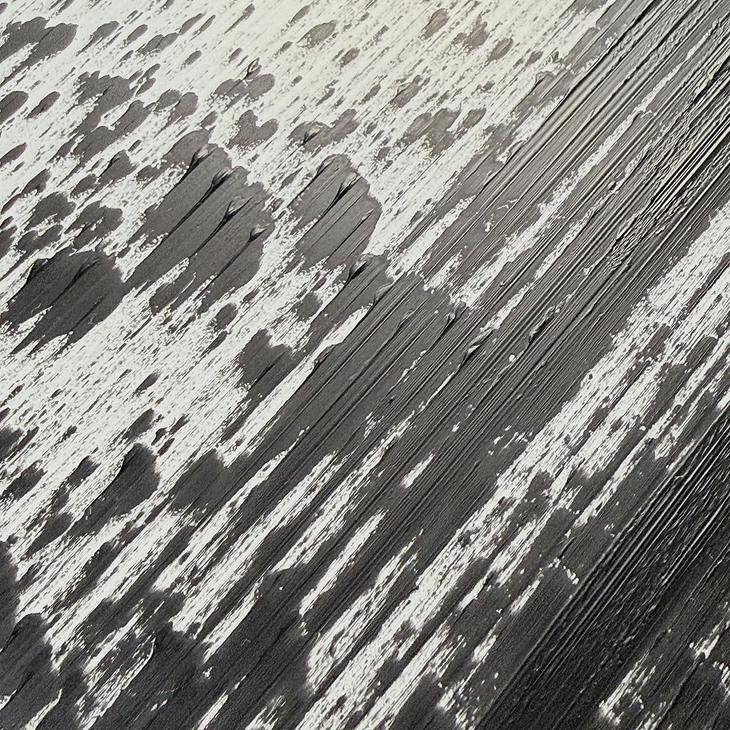 Brush Plot #009, detail 4