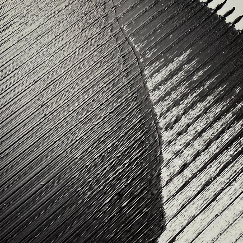 Brush Plot #009, detail 6