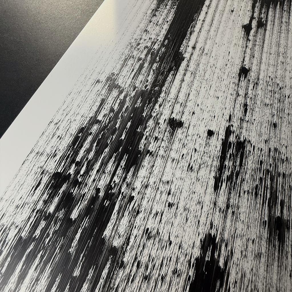 Brush Plot #013, detail 3